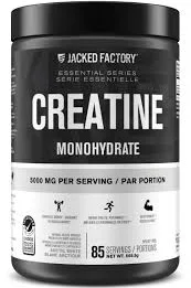 Best creatine supplements Canada Jacked Factory creatine monohydrate tub